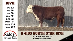 Lot #107H - R 4105 NORTH STAR 107H