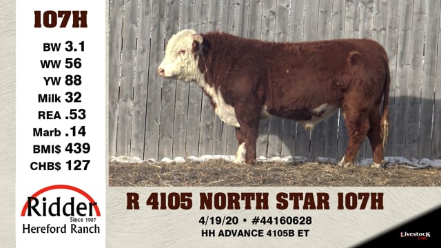 Lot #107H - R 4105 NORTH STAR 107H
