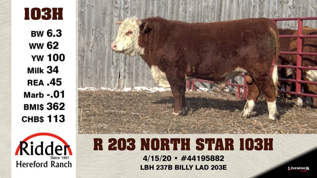 Lot #103H - R 203 NORTH STAR 103H