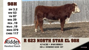 Lot #98H - R 623 NORTH STAR EL 98H