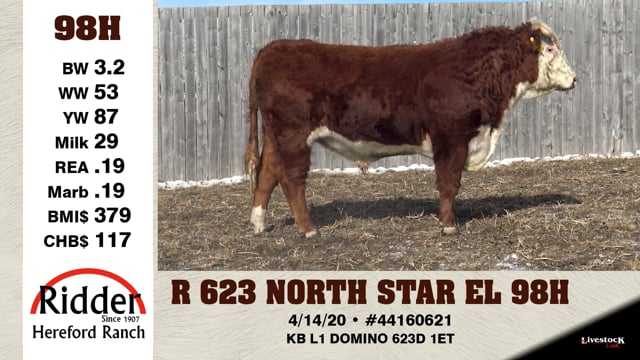 Lot #98H - R 623 NORTH STAR EL 98H