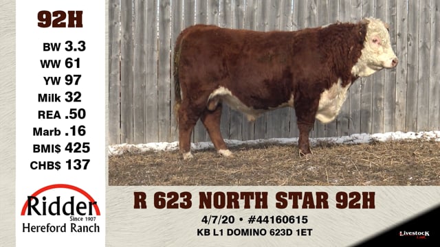Lot #92H - R 623 NORTH STAR 92H
