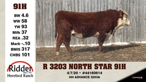 Lot #91H - R 3203 NORTH STAR 91H