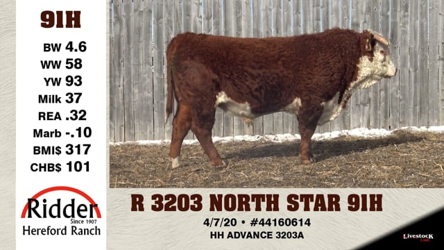 Lot #91H - R 3203 NORTH STAR 91H