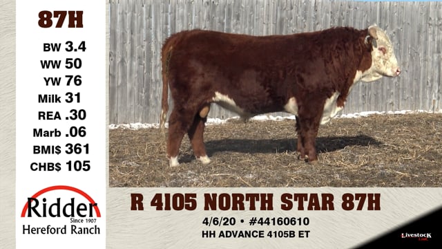 Lot #87H - R 4105 NORTH STAR 87H