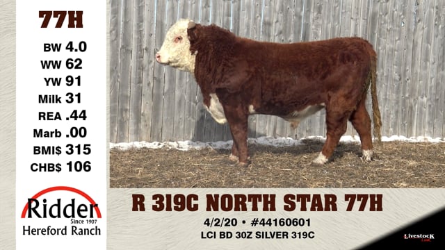 Lot #77H - R 319C NORTH STAR 77H