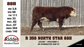 Lot #88H - R 358 NORTH STAR 88H