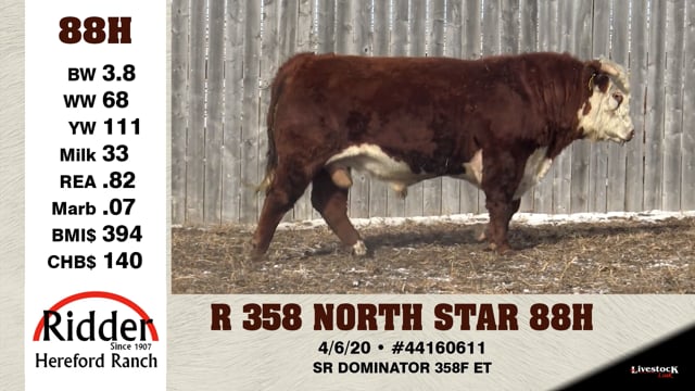 Lot #88H - R 358 NORTH STAR 88H