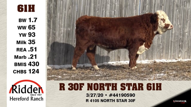 Lot #61H - R 30F NORTH STAR 61H