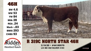 Lot #46H - R 319C NORTH STAR 46H