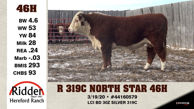 Lot #46H - R 319C NORTH STAR 46H