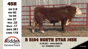 Lot #45H - R 5184 NORTH STAR J45H