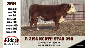 Lot #39H - R 319C NORTH STAR 39H