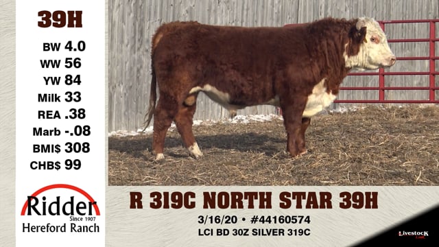 Lot #39H - R 319C NORTH STAR 39H