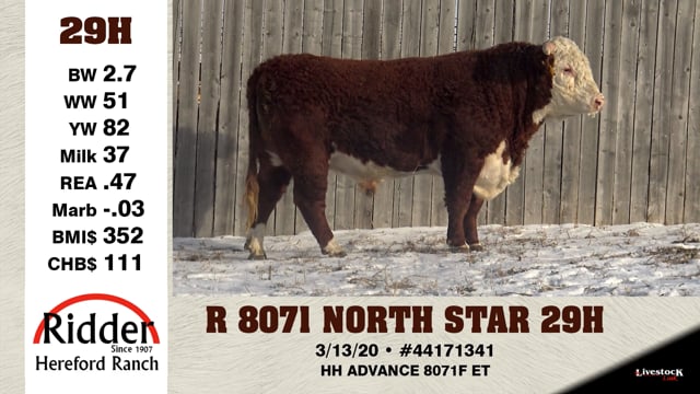 Lot #29H - R 8071 NORTH STAR 29H
