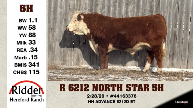 Lot #5H - R 6212 NORTH STAR 5H