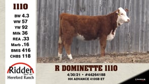 Lot #1110 - R DOMINETTE 1110