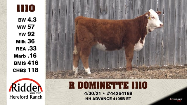 Lot #1110 - R DOMINETTE 1110