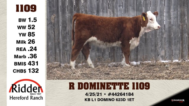 Lot #1109 - R DOMINETTE 1109