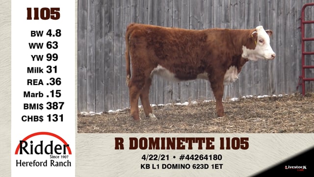 Lot #1105 - R DOMINETTE 1105