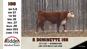 Lot #198 - R DOMINETTE 198