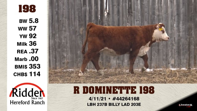 Lot #198 - R DOMINETTE 198