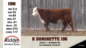Lot #196 - R DOMINETTE 196