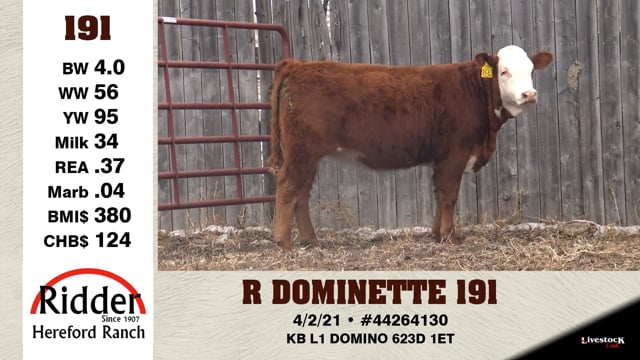 Lot #191 - R DOMINETTE 191