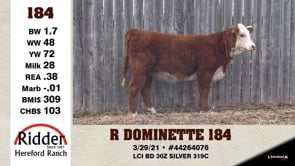 Lot #184 - R DOMINETTE 184
