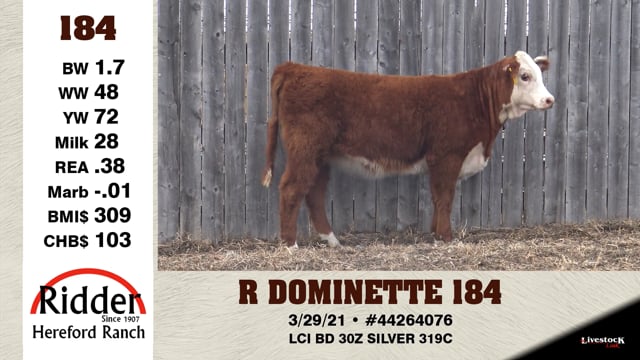 Lot #184 - R DOMINETTE 184
