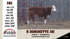 Lot #181 - R DOMINETTE 181