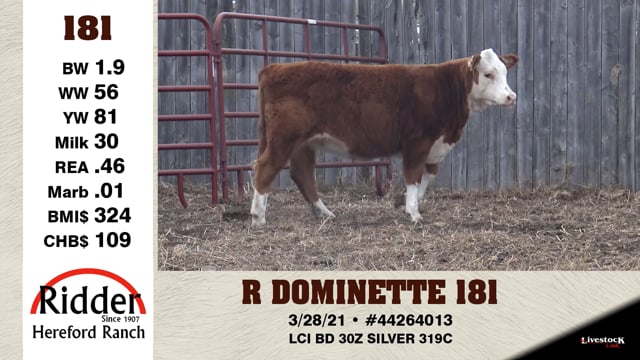 Lot #181 - R DOMINETTE 181