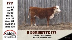 Lot #177 - R DOMINETTE 177