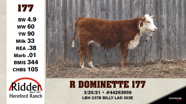 Lot #177 - R DOMINETTE 177