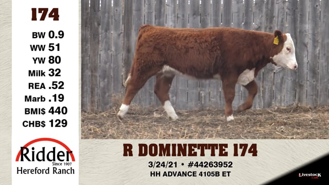 Lot #174 - R DOMINETTE 174