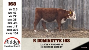 Lot #168 - R DOMINETTE 168