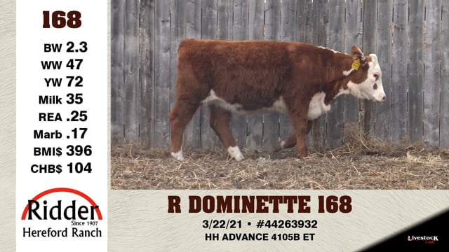 Lot #168 - R DOMINETTE 168