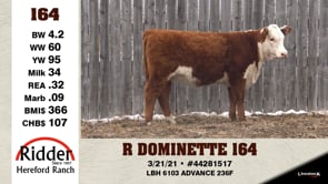 Lot #164 - R DOMINETTE 164