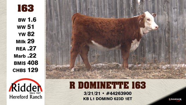 Lot #163 - R DOMINETTE 163