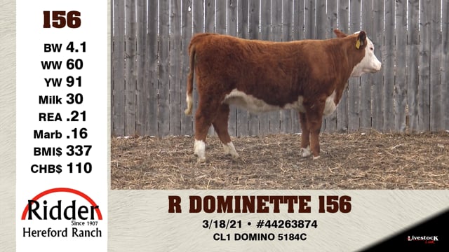 Lot #156 - R DOMINETTE 156