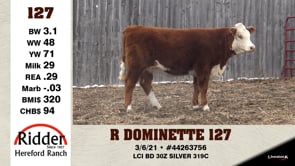 Lot #127 - R DOMINETTE 127