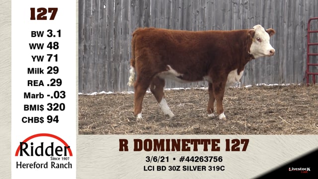 Lot #127 - R DOMINETTE 127