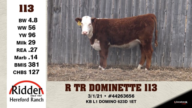 Lot #113 - R TR DOMINETTE 113