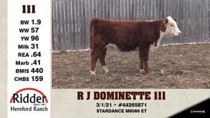 Lot #111 - R DOMINETTE 111