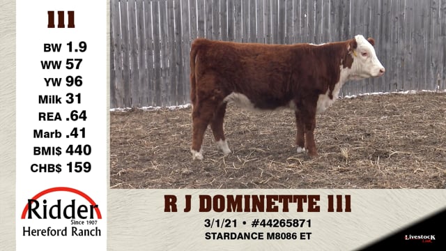 Lot #111 - R DOMINETTE 111