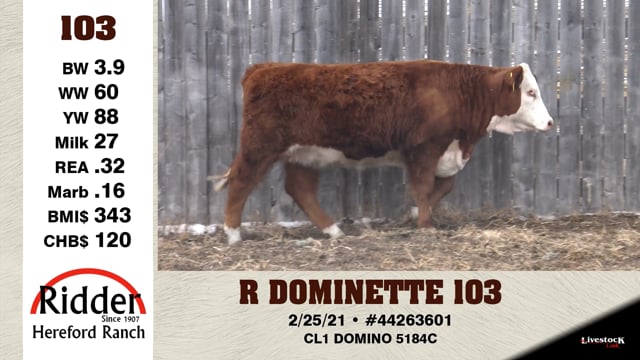 Lot #103 - R DOMINETTE 103