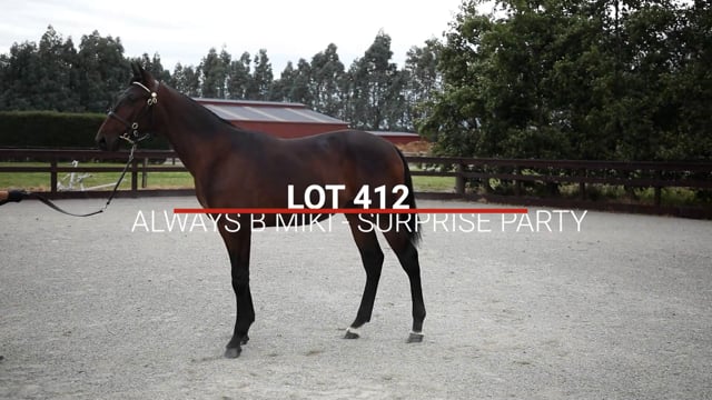 Lot 412