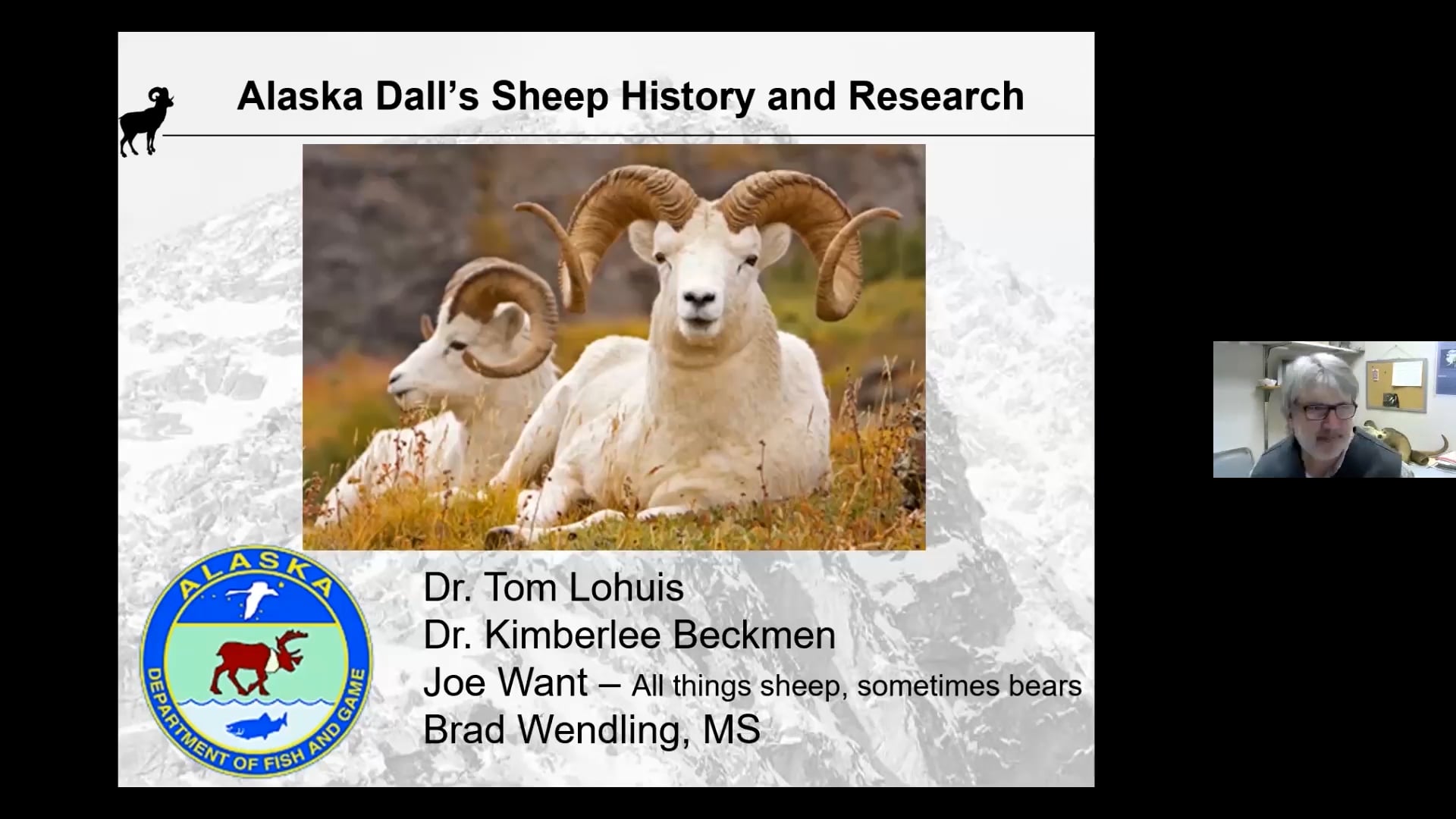 Dall sheep presentation - Winter Wildlife Series