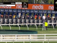 TAGALOA WINNING THE GROUP 1 BLUE DIAMOND STAKES​