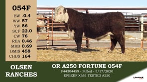 Lot #054F - OR A250 FORTUNE 054F